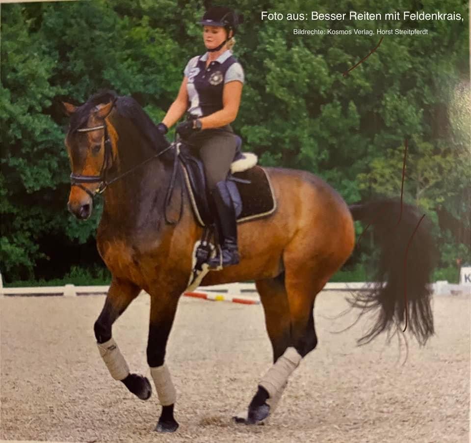 Dressur reiten