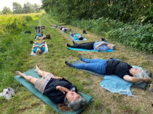 Feldenkrais auf der Weise