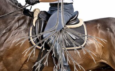 Reiten mit inneren Bilder