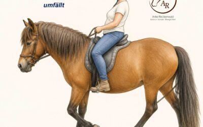 Fortsetzung: 4 Basics und Prüfung der Balance im Sattel