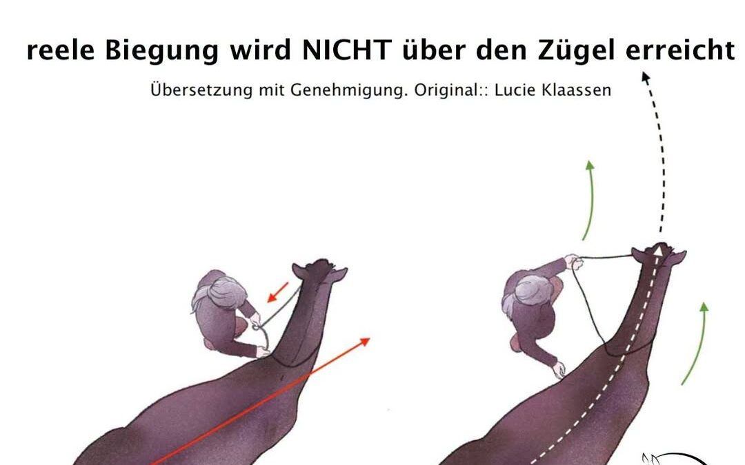 Reele Biegung entsteht nie über den inneren Zügel