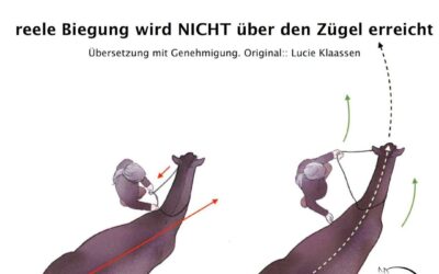 Reele Biegung entsteht nie über den inneren Zügel