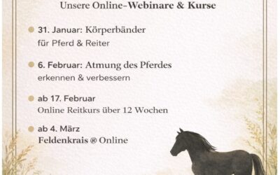 Wissen, das Pferde bewegt