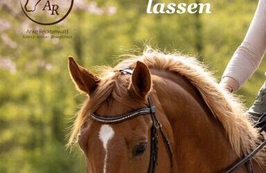 WIN WIN – statt verlieren lassen