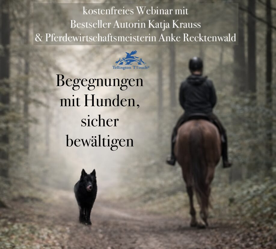 Reiter begegnet freilaufendem Hund