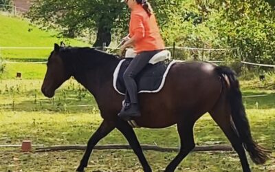„Reiten kann man nicht durch Lesen lernen.“