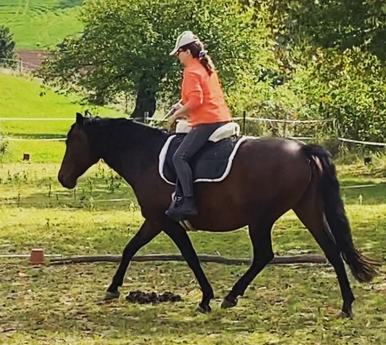 „Reiten kann man nicht durch Lesen lernen.“